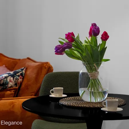 Apartment Mye - Piotrkowska 37 Elegance *